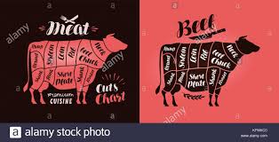 Meat Cut Charts Food Butcher Shop Beef Concept Vector