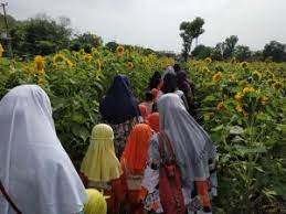 Kode alam kebun bunga / torrijos viviana kode alam kebun bunga keren lahan gersang bantul disulap jadi kebun bunga rilis id / hal ini dikarenakan bentuknya yang indah, warnanya menarik dan mempunyai aroma yang wangi. Bermain Dan Belajar Di Kebun Bunga Matahari Spot Baru Wisata Alam Dan Pendidikan Di Kota Kediri Super Radio