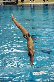 Diving @anabellesmith93 cassiel rousseau @melissapaigewu sam fricker nikita hains shixin li esther qin melissa becomes just the 3rd diver to represent australia at 4 olympics with anabelle. Diver Cassiel Wins Sport Australia Hall Of Fame Scholarship Redland City Bulletin Cleveland Qld