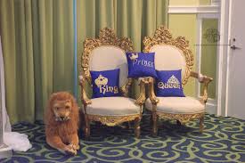Ivory And Gold King Queen Chairs Royal Themed Baby Shower It S A Boy Royal Blue And Gold Prince Baby Shower Boy Baby Shower Themes Baby Boy Shower Favors