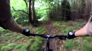 Stoke park wood is a 2.2 hectare local nature reserve in ipswich in suffolk. Stoke Park Woods Youtube