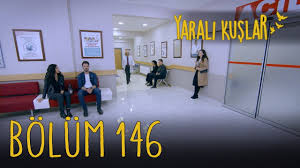 Yarali Kuslar 146 Bolum Youtube