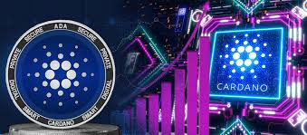 Esso permette di trasmettere il moto tra due assi in rotazione i cui prolungamenti sono incidenti in un punto ed è dunque classificabile come un organo di. Cardano Ada Price Could Soon Hit 5 Michael Van De Poppe