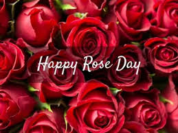 A rose for my rose! Valentine S Day 2020 Date Sheet Celebrate Rose Day Kiss Day Propose Day With Your Loved One On These Dates Relationships News India Tv