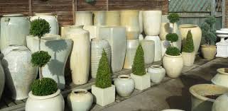 Bamboo giant nursery featuring exotic bamboo for retail and wholesale. Large White Glazed Pots And Planters Glacier White Glazed Garden Pots Woodside Garden Centre Pots To Inspire