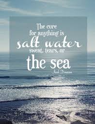 Excess of anything is actually bad, even. The Cure For Anything Is Salt Water Sweat Tears Or The Sea Isak Dinesen Salt And Water Beach Quotes Water