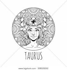 See more ideas about coloring pages, adult coloring pages, coloring books. Taurus Zodiac Sign Vector Photo Free Trial Bigstock