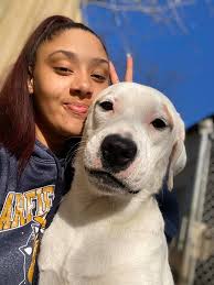 Deaf dog owners, share your stories and photos