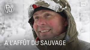 À l'affût du sauvage
