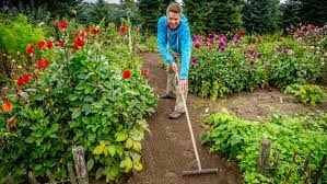 Vertikaler garten mit gemüse und kräutern. Gemuse Pflanzen Die Wichtigsten Tipps Fur Den Anbau Ndr De Ratgeber Garten Nutzpflanzen