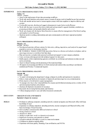 Data Processing Resume Samples Velvet Jobs