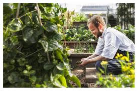 New Zealand style hangi lunch at Harvest