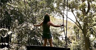 Shah alam holiday rentals shah alam holiday packages flights to shah alam shah alam restaurants shah alam attractions shah alam shopping. 10 Best Things You Can Do In Shah Alam Selangor
