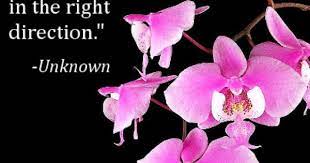 Every Positive Thought Propels You In The Right Direction Unknown Orchidsmadeeasy Com Growing Orchids Orchid Wallpaper Phalaenopsis Orchid