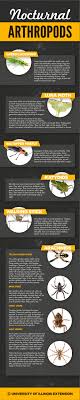 Edit the album report an error. 37 Pets Animals Ideas Pets Your Pet Animals