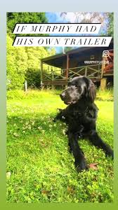 Emma Fiddler (@emmafiddler7)