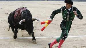 See full list on elchavo.fandom.com El Chano Con Lesion Medular Despues De Cogerlo Un Toro Schnauzi Com