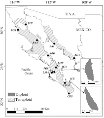 Genes are in the dna of each cell in your body. Variation In Chromosome Number And Breeding Systems Implications For Diversification In Pachycereus Pringlei Cactaceae
