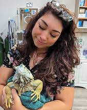 Our Team I Long Island Avian & Exotics Pet Veterinary Clinic