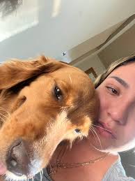 Organizing and deep cleaning services offered