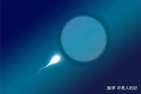 突然发现黄了？或许和这些有关！ - 知乎