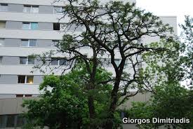 The accommodation is set in tiergarten district, 350 metres from wittenbergplatz underground station. Kurfurstenstrasse 79 10787 Berlin Mapio Net