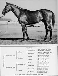 Sections show more follow today with the help of betsy burn, founder of bvision sportmedia, to. New New The Belmont Stakes