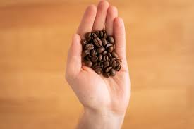 What is the shelf life of coffee? Do Coffee Beans Go Bad Does It Go Bad