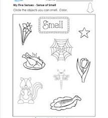 In the initial ages of a child, parents do every possible effort to make the child bloom in real manner. The Human Body The 5 Senses Worksheets A Wellspring