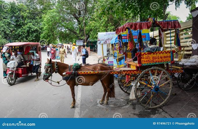 Horse Cart on Street in Bodhgaya, India Editorial Photo - Image of scene, king: 97496721