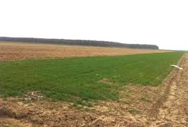 Puteți mări sau micșora exactitatea răspunsului prin selectarea numărului de cifre semnificative. Preturi Tot Mai Mari La Terenuri Iata Cum Se Prezinta Situatia In Dobrogea Stiriagricole Ro