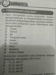 We did not find results for: Lks Ipa Kls 7 Semester 2 K13 Hal 47 Please Dibantu Bsk Dikumpul Brainly Co Id