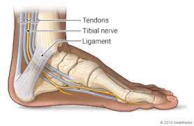 Best Treatment For Foot Pain Tarsal Tunnel Sheboygan Wi