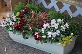 Maybe you would like to learn more about one of these? Designing Early Spring Flower Boxes Wolff S Apple House
