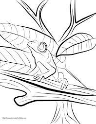 Nerdwallet is a free tool to find you the best credit cards, cd rates, savings, checking accounts, scholarships, healthcare and airlines. Red Eyed Tree Frog Coloring Page Coloring Home