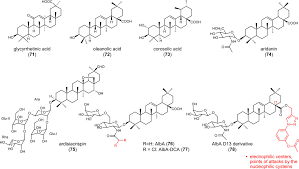 Image result for Ptycholobium contortum