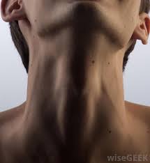 Dec 02, 2020 · carotid ultrasound: What Is The Common Carotid Artery With Pictures