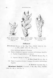 續臺灣植物圖譜supplementa iconum plantarum formosanarum 2 10 botany art humanoid sketch