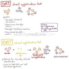 Pin On Immunodiagnostics And Lab Techniques