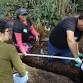 Garden Workday at the Collective Roots Community event image
