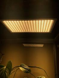 Check spelling or type a new query. Best Chinese Led Grow Lights 2021 Aliexpress Glowlight Reviews Best China Products