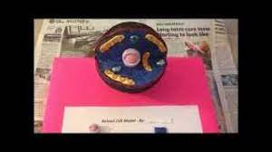 Check spelling or type a new query. What Materials Do You Need To Make A 3d Model Of An Animal Cell Blurtit