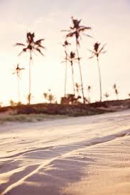 Befunky is a uniquely powerful online photo editor. 60 000 Best Beach Photos 100 Free Download Pexels Stock Photos