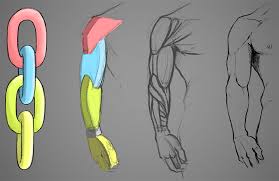 Programming for muscle groups that. How To Draw An Arm Art Rocket