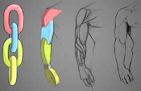 Almost every muscle constitutes one part of a pair of identical bilateral. How To Draw An Arm Art Rocket