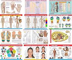 Buy Acupressure Chart All In One Book Online At Low Prices