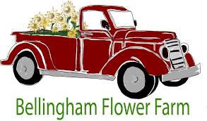 Bradley Aaron — Bellingham Flower Farm