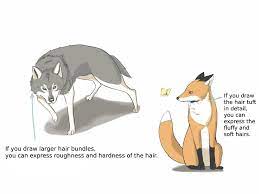 Fox / help center / bike / all parts & drawings all parts & drawings. How To Draw The Fox And The Wolf Medibang Paint
