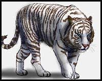 If you want me to draw something leave a commentcreated with drawcast for ios: How To Draw Cartoon Tigers Realistic Tigers Drawing Tutorials Drawing How To Draw Tigers Drawing Lessons Step By Step Techniques For Cartoons Illustrations