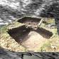 2026 Archaeological Investigations with the Scouts